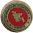 Coat Pin