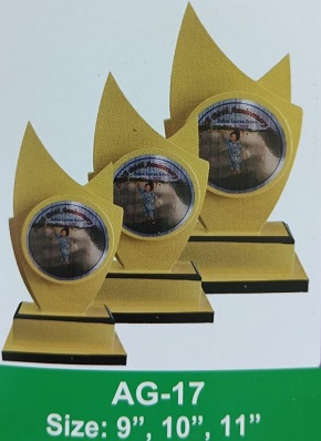 Demo Picture of Award AG17 (আলোচনা সাপেক্ষে প্রি - অর্ডার নেওয়া হয়)