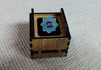 Shahjalal Islami Bank PLC 100% Brass (পিতল) Coat Pin BNK001