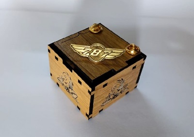 Boeing 787 Exclusive collection Coat pin in 100% Brass (পিতল) BPT004