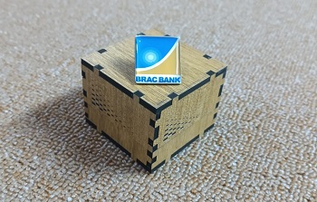 Brac Bank 100% Brass (পিতল) Coat Pin BNK013