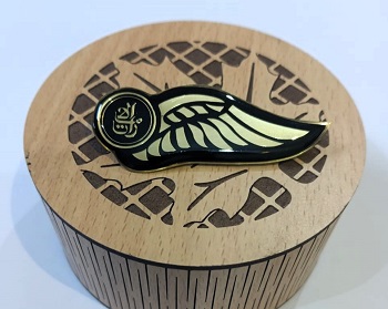 Brass (পিতল) Base or wings for FLY EMERATES FE001