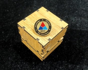 Bangladesh National Cadet Corps (BNCC) 100% Brass (পিতল) Coat Pin CPIN23