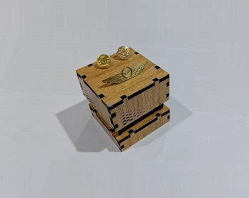 Exclusive Collection Biman Bangladesh Airlines 100% Brass (পিতল) Coat Pin CPIN014