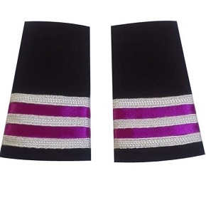 Apulates for Biman employee (Store & Purchase BFCC Dept) BFCC