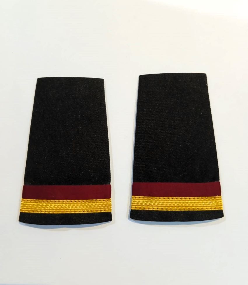 Apulates for Biman employee Admin section ADM001