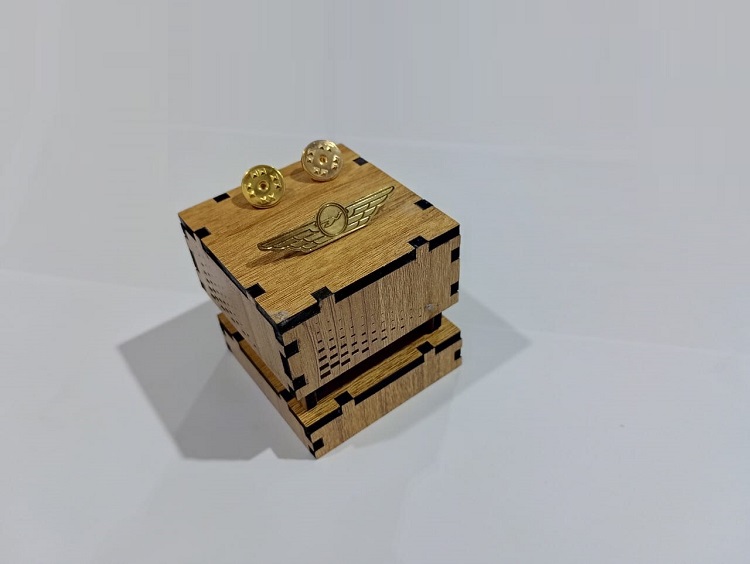 Exclusive Collection Biman Bangladesh Airlines 100% Brass (পিতল) Coat Pin CPIN014