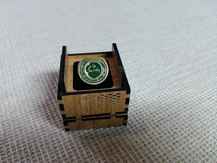 Agrani Bank PLC 100% Brass (পিতল) Coat Pin BNK007