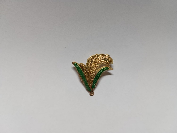BNP Bangladesh National Party Coat pin Exclusive design and Best Quality Metal T013