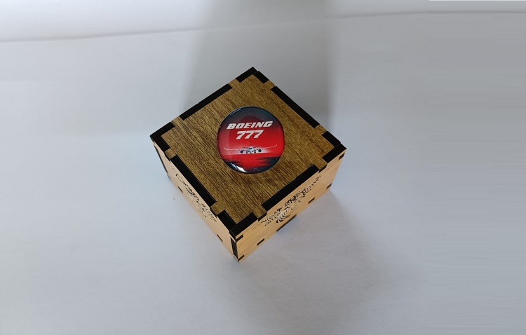 Boeing Exclusive collection Coat pin in 100% Brass (পিতল) BPT002