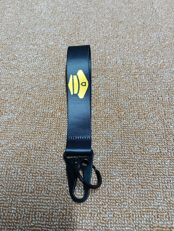 PILOT Unique design Best quality Ribbon keyring for Car / Bike / Office KR032