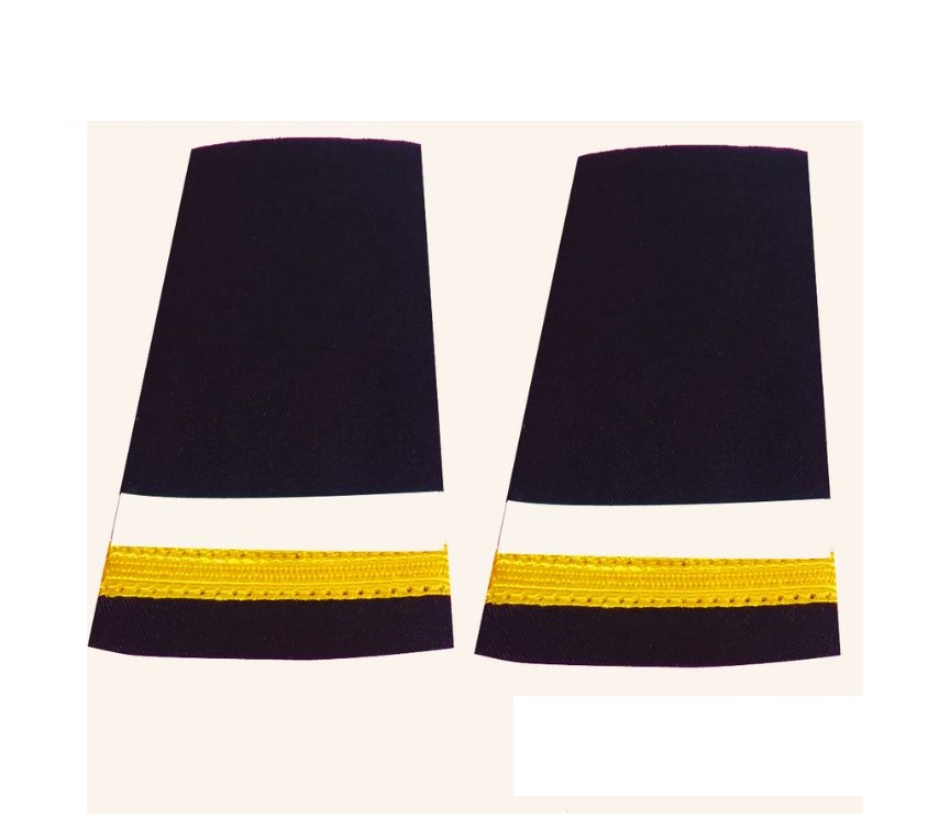 Apulates for Biman employee Traffic Dept BMNT001
