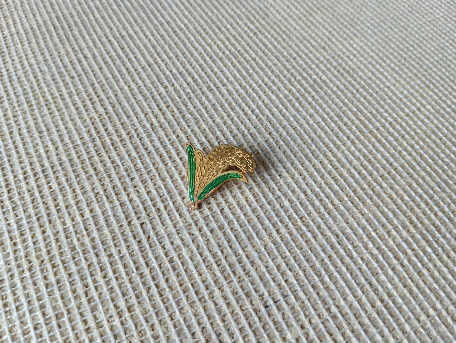 BNP Bangladesh National Party Coat pin Exclusive design and Best Quality Metal T013