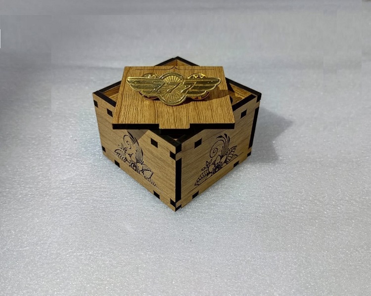 Boeing 777 Exclusive collection Coat pin in 100% Brass (পিতল) BPT005