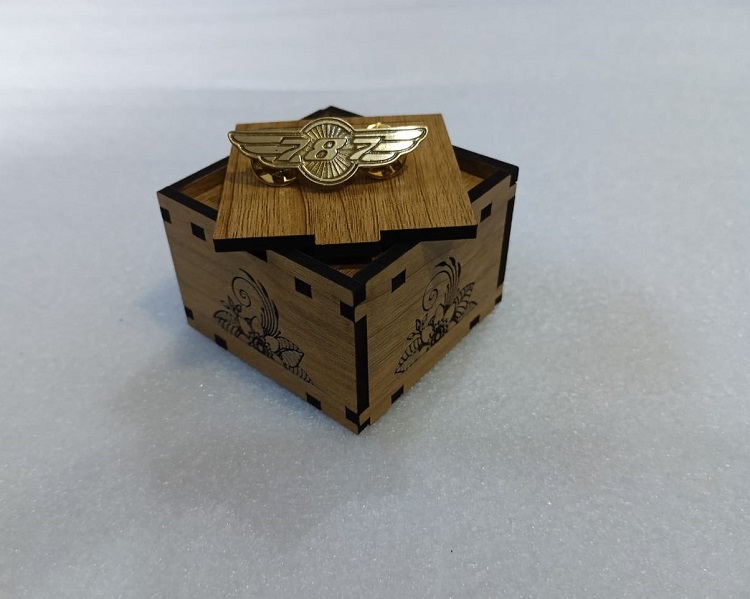 Boeing 787 Exclusive collection Coat pin in 100% Brass (পিতল) BPT004