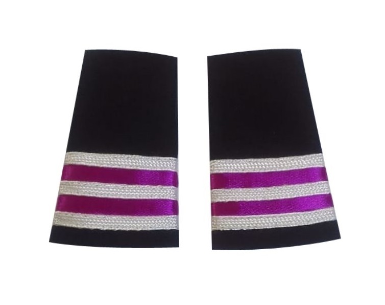 Apulates for Biman employee Store & Purchase BFCC Dept BFCC002