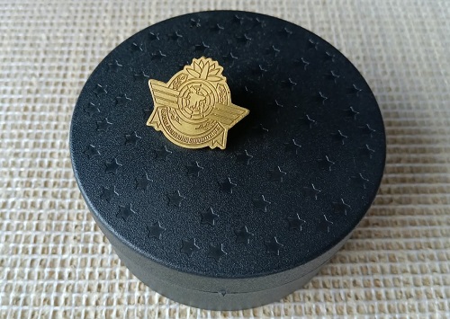 Exclusive Collection Civil Aviation Authority 100% Brass (পিতল) Coat Pin CPIN003