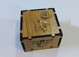 Coat pin Golden color Best Quality Metal with Box ET001