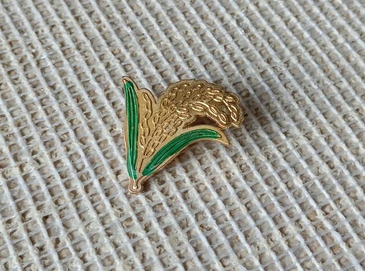 BNP Bangladesh National Party Coat pin Exclusive design and Best Quality Metal T013