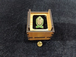 Islamic University of Technology (IUT) 100% Brass (পিতল) Coat Pin UNET04
