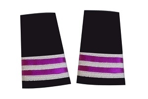 Apulates for Biman employee Store & Purchase BFCC Dept BFCC002