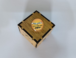 Boeing Exclusive collection Coat pin in 100% Brass (পিতল) BPT003