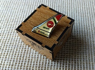 Coat pin in Brass with lamination with Box CT002