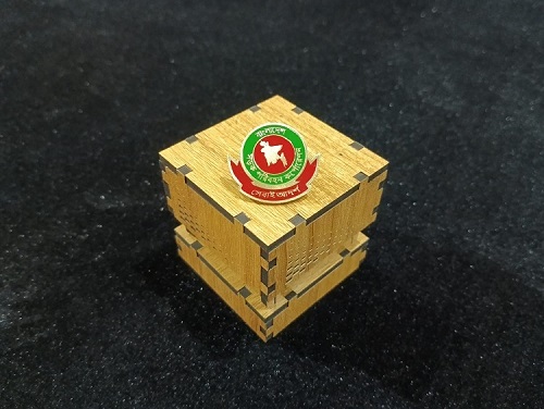 Bangladesh Road Transport Corporation (BRTC) 100% Brass (পিতল) Coat Pin CPIN27