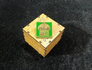 Islamic University 100% Brass (পিতল) Coat Pin UN03