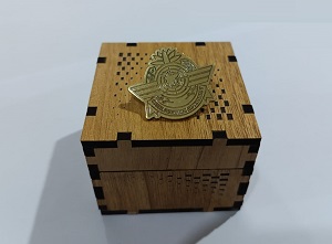 Exclusive Collection Civil Aviation Authority 100% Brass (পিতল) Coat Pin CPIN003