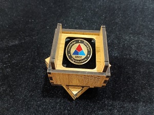 Bangladesh National Cadet Corps (BNCC) 100% Brass (পিতল) Coat Pin CPIN23