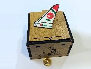 Biman Wings Coat pin in Brass and lamination with Box BW002