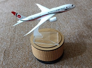 Dummy Biman / Aircraft Bangladesh Biman Airlines Dreamliner Boeing 787 BB1
