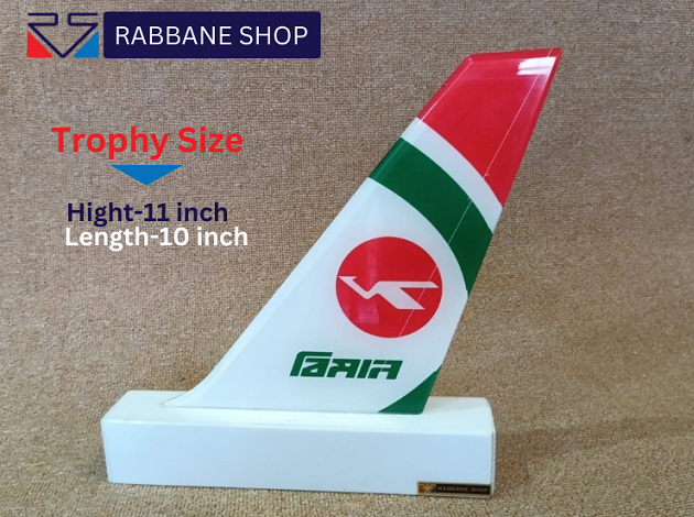 Biman Wings for office table desk or drawing rooms showpiece TOD001