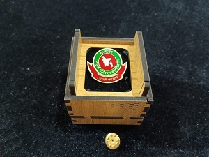 Bangladesh Road Transport Corporation (BRTC) 100% Brass (পিতল) Coat Pin CPIN27