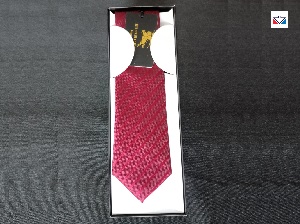 Exclusive collection Formal Tie TIE003